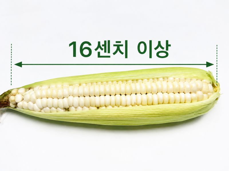 삶은시래기,건시래기,펀치볼시래기,삶은 시래기,양구시래기, 시래기, 펀치스, 펀치스시래기, 양구시래기, 
